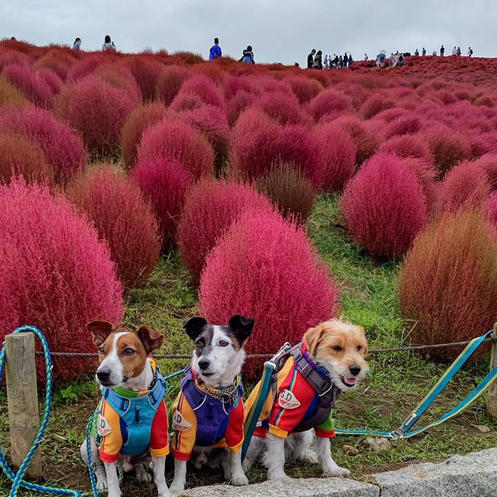 52611671 e516 49a9 80d6 5a1fb2ecfd33 1665995432809