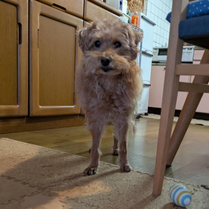 52616db2 edd9 480f 9d2c 68ae5d0be7fb 1741989798543