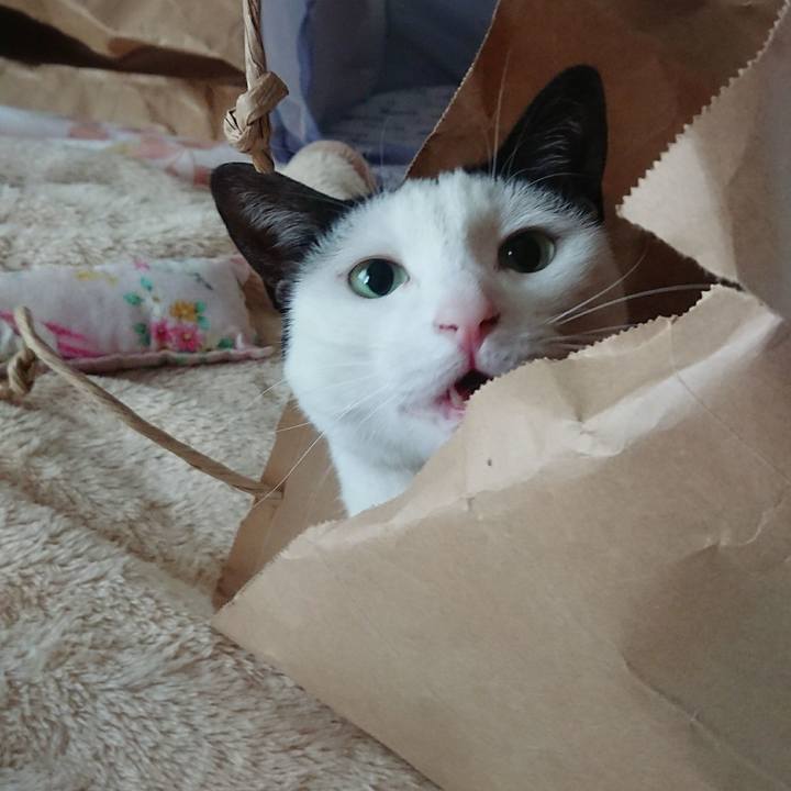 52617485 8cfe 4666 87bc 67f45869b332 1525766198692