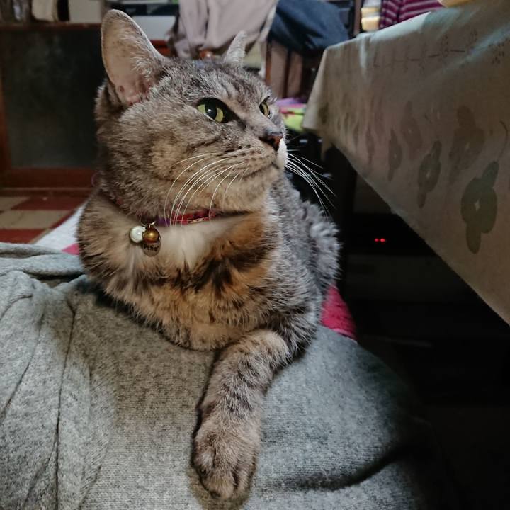 52617b9b b322 4765 9ddb b86c2690aa58 1579044735839