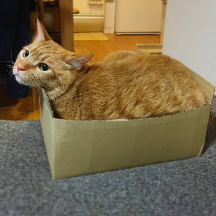 52618791 1ff6 408e 9854 2aef0908fe47 1627840073485