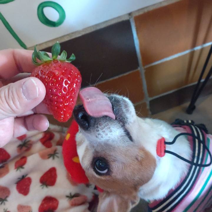 5261b7df 4b67 4807 85ff 167f2b755c4c 1769917629464