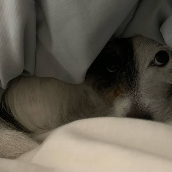 5261cdd4 c8fb 41a0 b5c4 635b690dc479 1651240490180