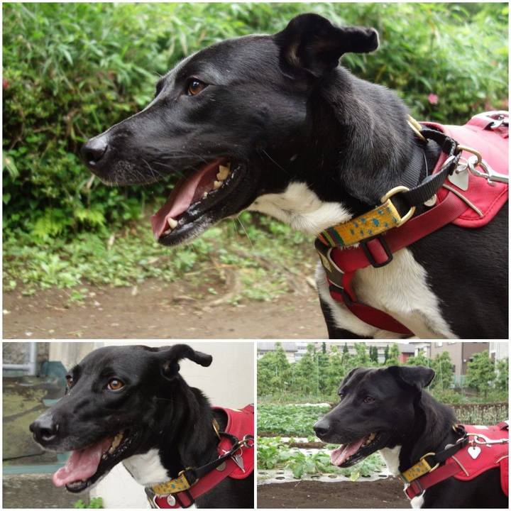 5261d330 5fb5 4461 b116 398c08609f40 1590538648005