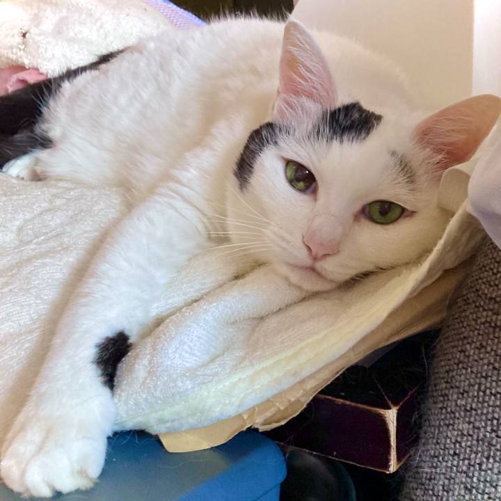 5261edc2 1801 49ee 9f94 d5360ed4c71d 1696304552985