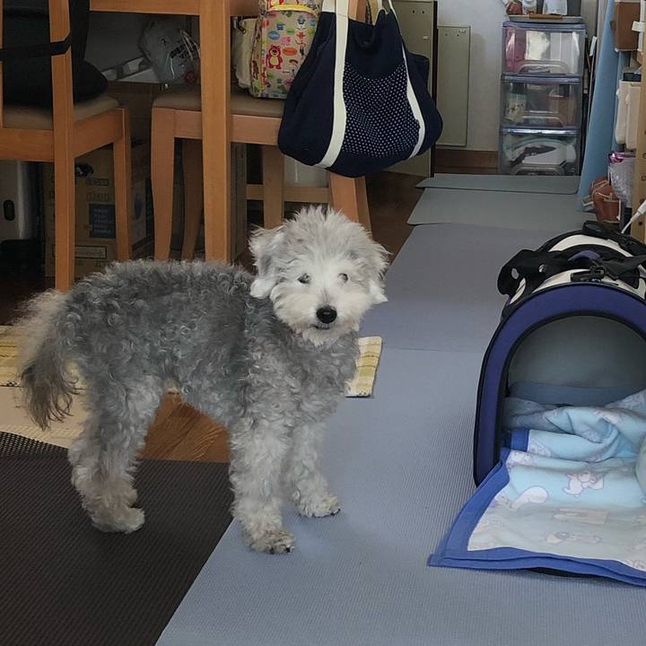 5261f16d d728 4912 bbf7 66fa5fca3905 1658543829889