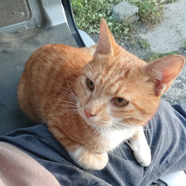 5261f2a4 9be5 4126 81eb 319ec043dd17 1569445762448