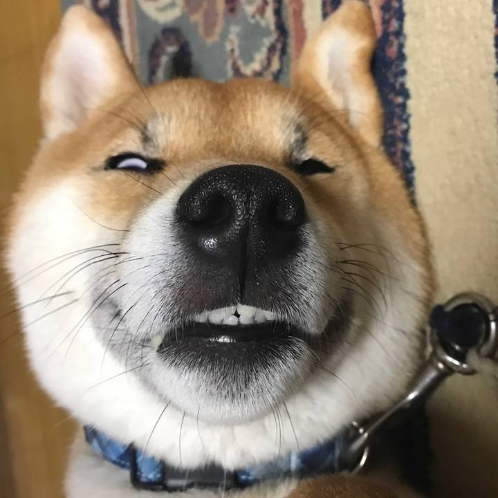 5261f9ce 9ac4 461c b830 8cab596f1df6 1524314666481