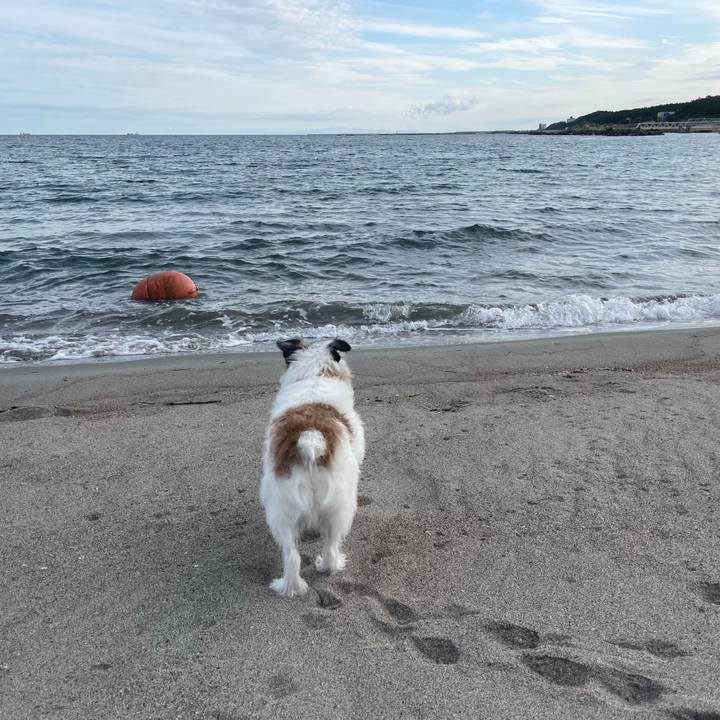 526211d0 d1b5 473d 94c9 431ae20f8075 1727392293148