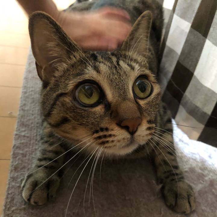 52623e09 9751 4708 8283 d42d8e77f84b 1623099351978