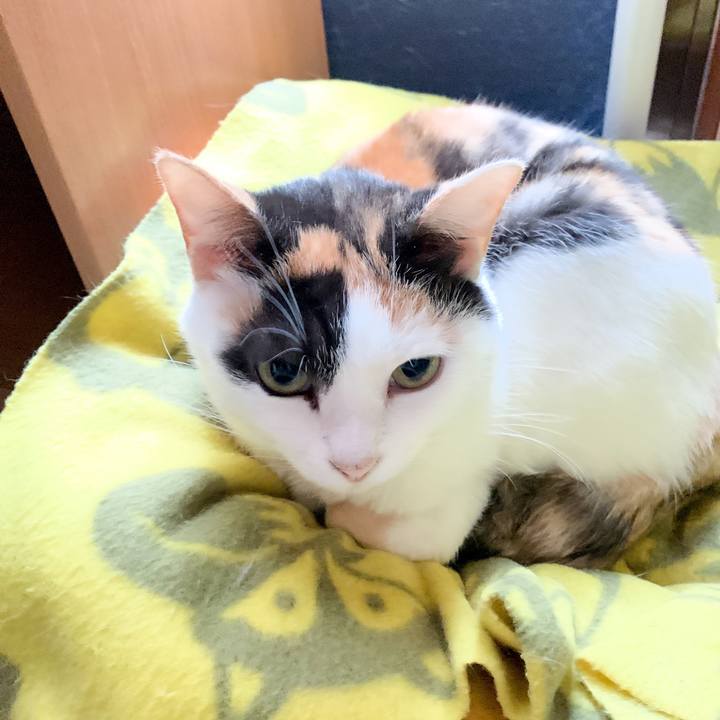 5262560a 7adf 458f a93a 1d541548b347 1547690416670