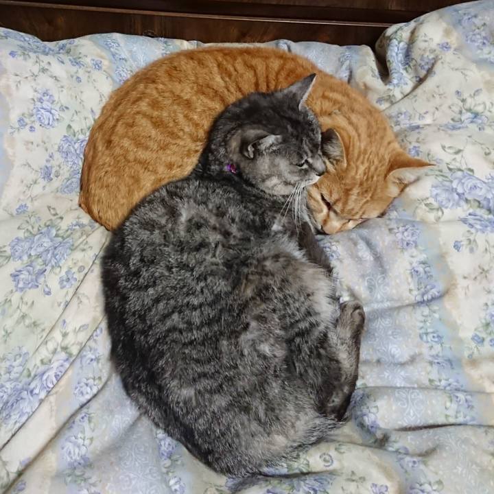 5262754c 949f 46cb beae 141d5a4558f2 1583063340964