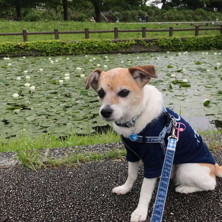 5262769d 125c 4ab1 95e2 328ca2cfa6ae 1651890724873