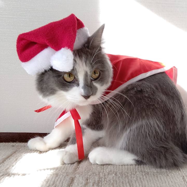 52628263 febf 46f8 882b fafaf7c6834e 1573362664639