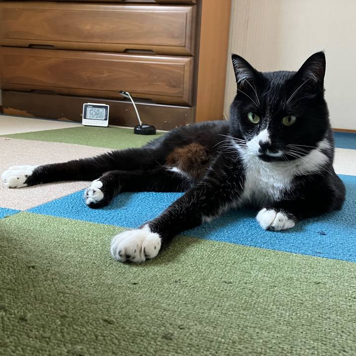 52628454 c9b0 4e3f 9334 16b985e7060d 1756122348668