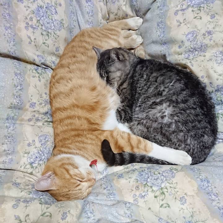 5262923c 341f 473b 81a9 51344e2c31a7 1575722019537