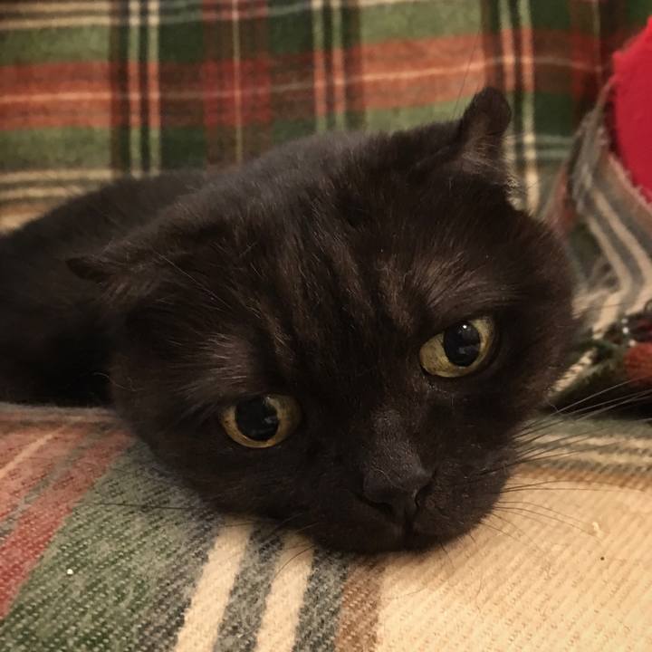 5262d1a9 2073 40f4 b7e1 f302b0bab72e 1537798241235