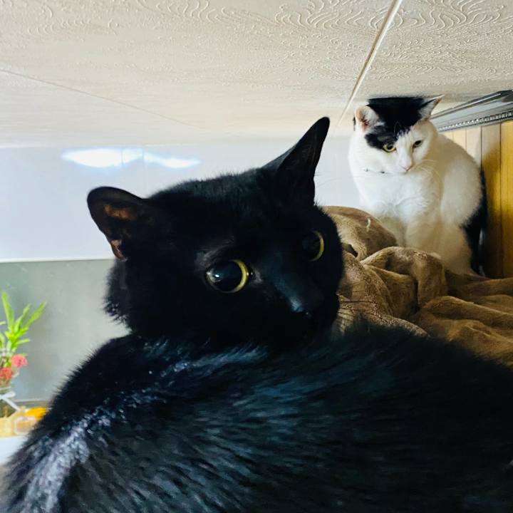 5262e2e1 7016 4045 a2d8 5b9112094462 1676930618543