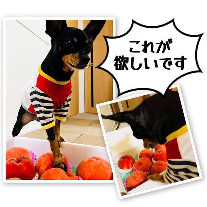 52630202 7e69 4ff6 98bc c1474d37817c 1723458898570