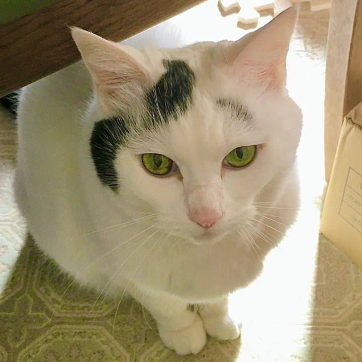 52634a5a 5ae7 4763 b5df 649677bb4ce2 1665471748529