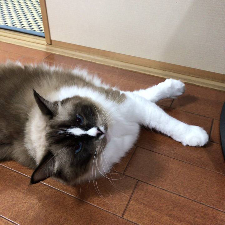 52634bc9 79ab 4429 8cad 5a2e911b76cb 1509862689927