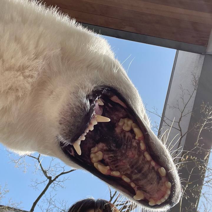 52638f7e f542 4e64 8902 f47b6883961a 1710754193590