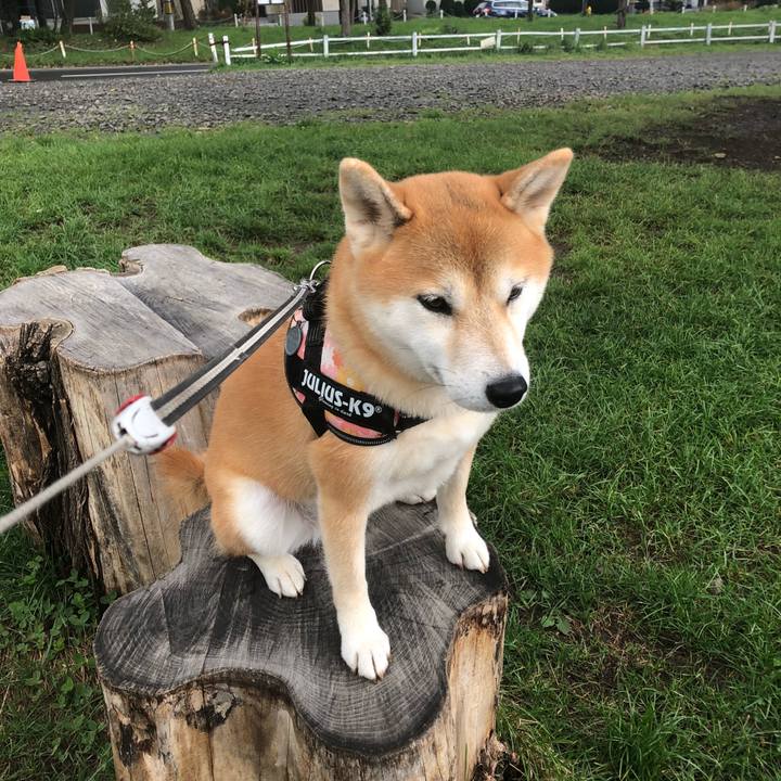 5263bd28 efdc 45e8 b00e 2395bf585556 1538440067193