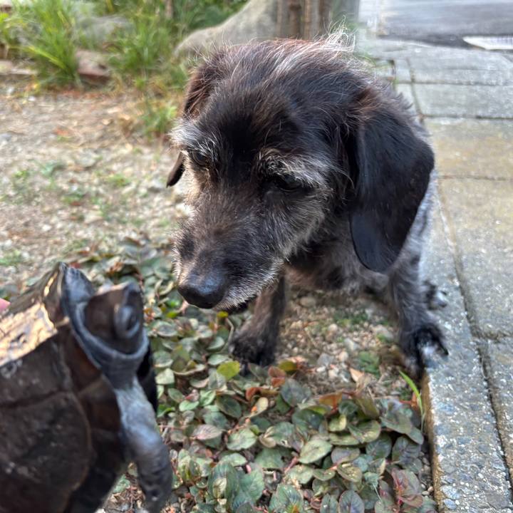 5263d58e beed 4d22 aeb0 7139007a72d4 1754263257568