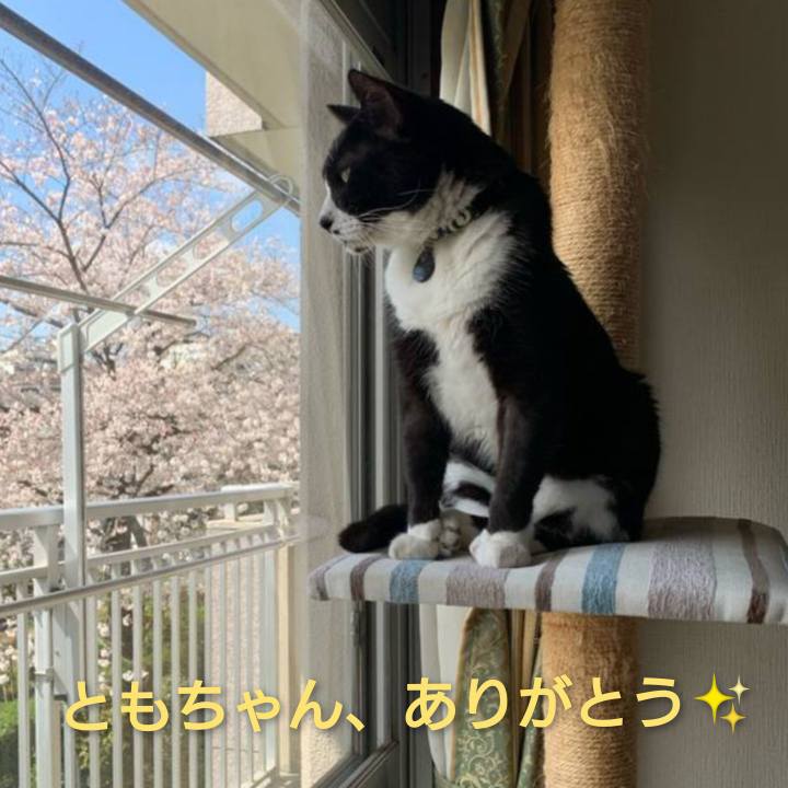 5263f4da 504d 4f86 b696 71f97f68653f 1619046015913