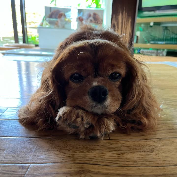 5263f5ba b480 4452 8405 35d45745e065 1654993502487