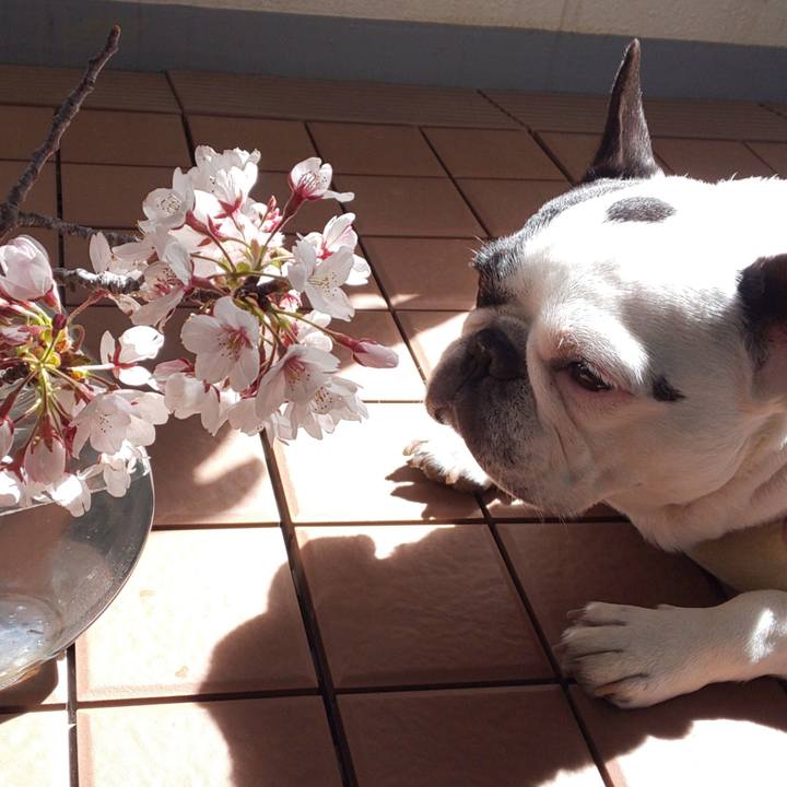 52642b4a c484 46ec b670 aeec4645e82f 1554958891854