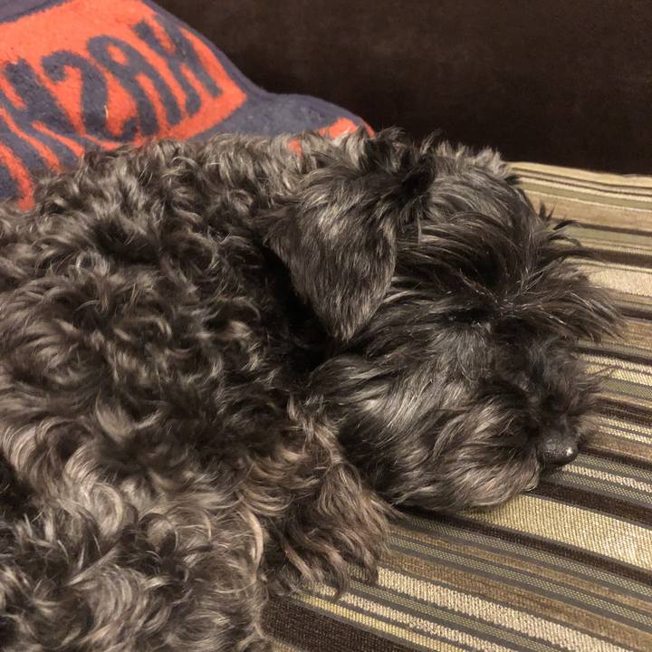 52644d3f a895 4021 b86a 8f8d42a08ff0 1557225497275