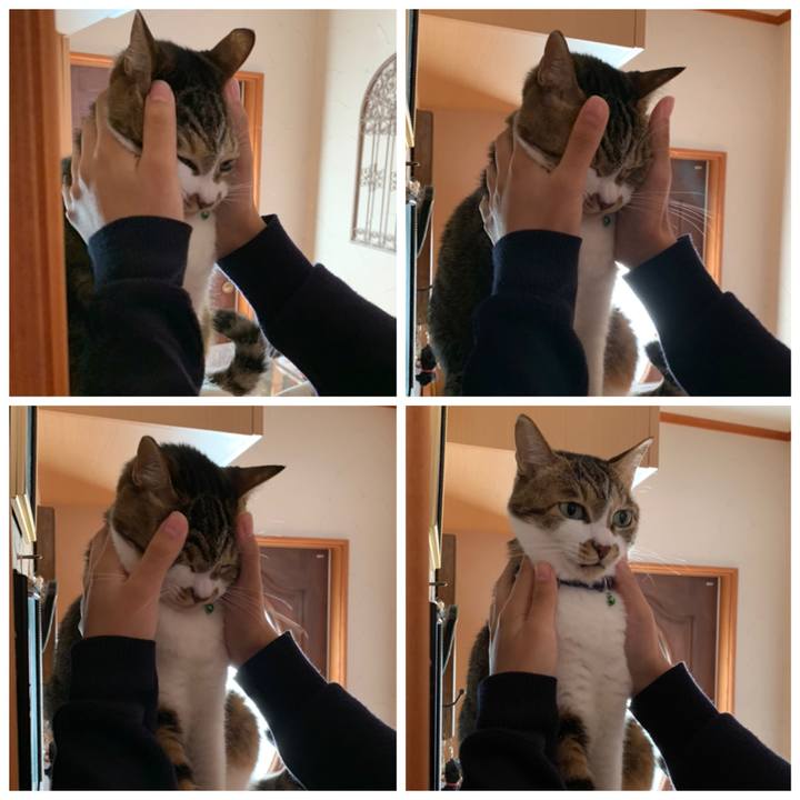 526450d4 28c7 4dec 84ff 0acddb41b418 1607221156946