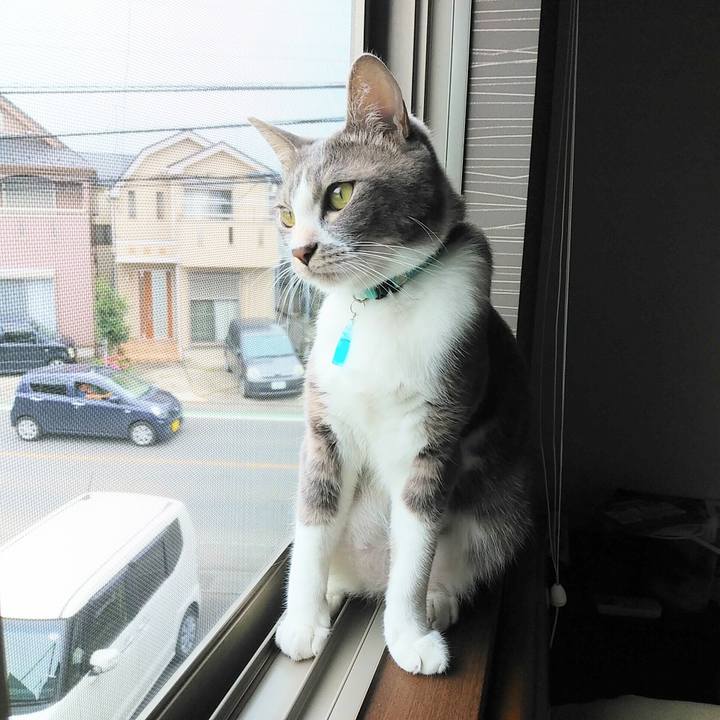 52647dea c983 4a28 924e ca876e663b8f 1592953199346