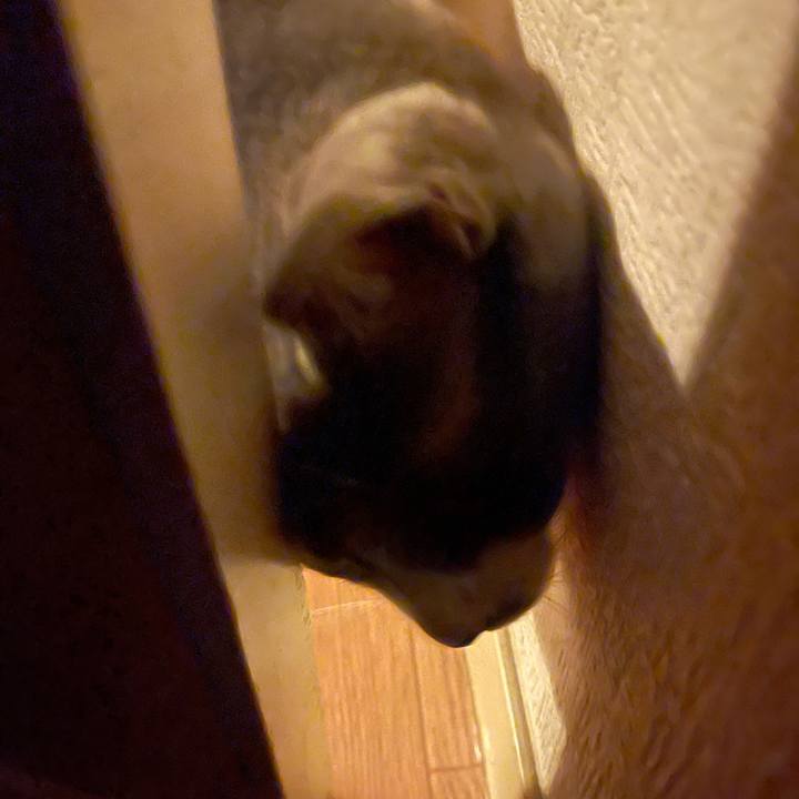 52651d08 6ea9 427a b998 b7ab10eb5a41 1631355100244