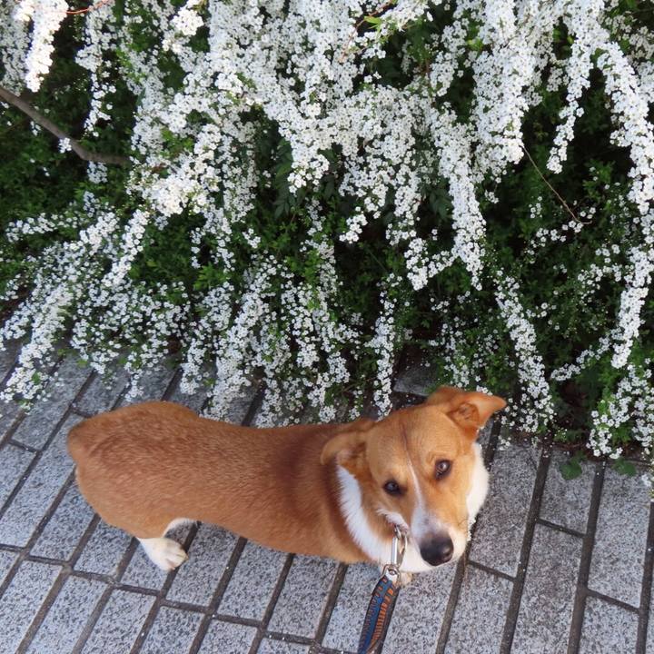 52652012 bd6d 4c61 a4b3 9fa2cd148366 1616368680412