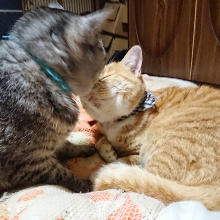 52652b87 029a 461d 8af1 a38687a53d67 1574598674154