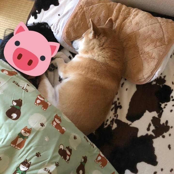 5265621f 969a 4cf4 bbf5 3f2082c3189c 1580905201366