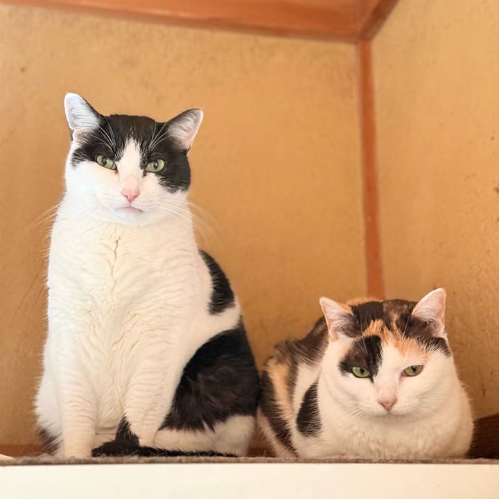 526576b2 c197 48d4 ab6f 78403ad0b491 1770520815124