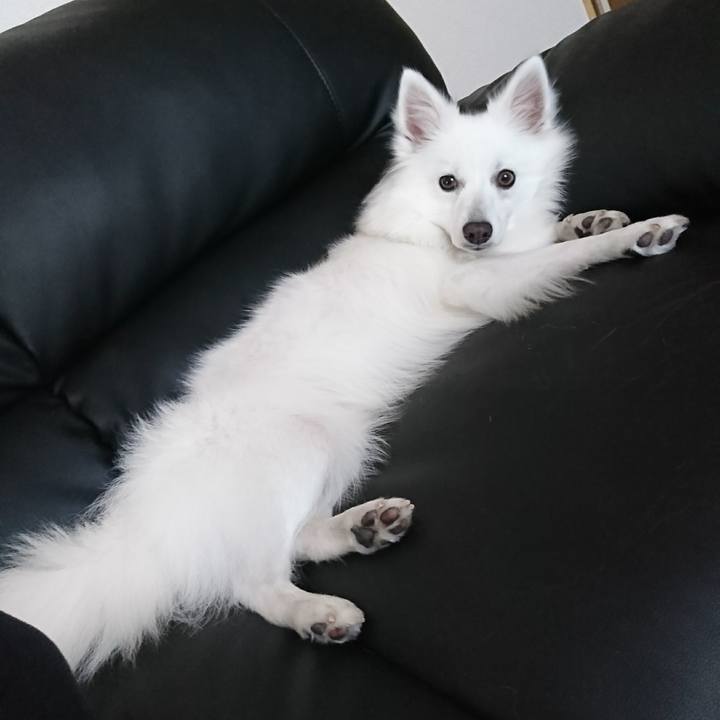 526588df 6c47 4719 a17c adbbedb1c930 1521098380092