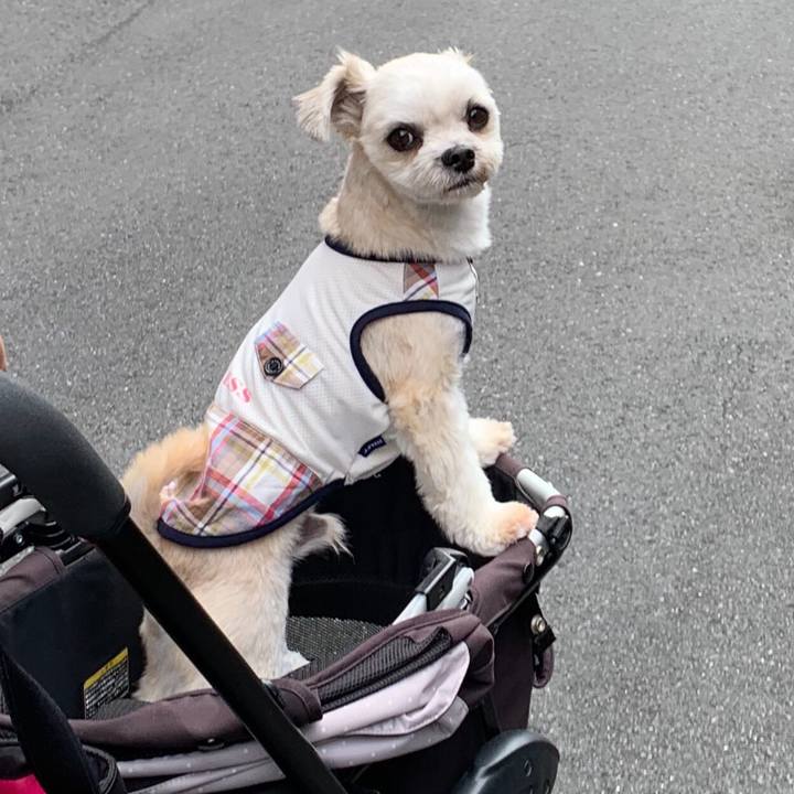 5265a145 7d6a 44a0 9cc4 ca38fce0b2a1 1568461511315