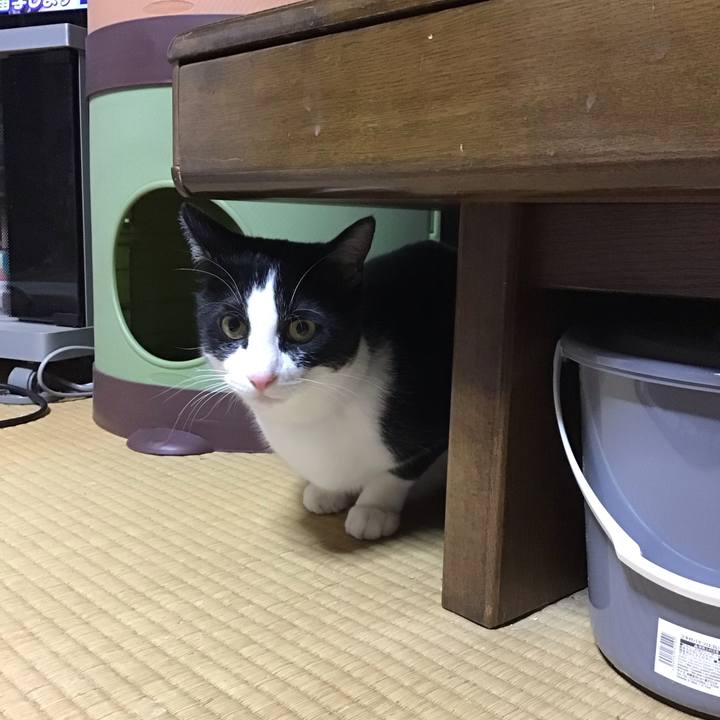 5265a33f f0f5 4176 aa5e 1d60410fb8ff 1678705942471