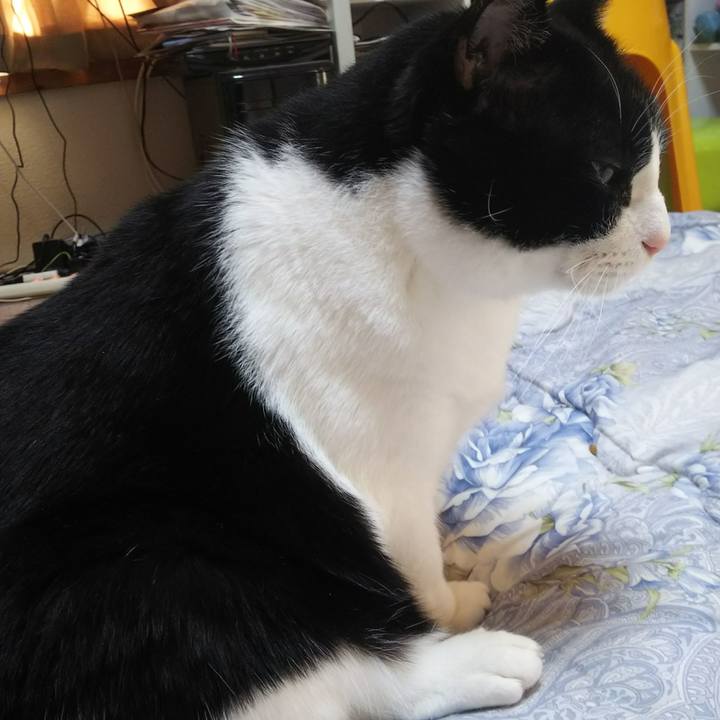 5265ae24 5abc 4adb 9bd1 971b41c13e92 1544834927928