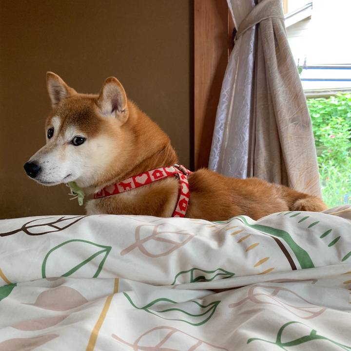 5265c8ef 938c 45d4 aa21 f59962a65ef7 1601030142687