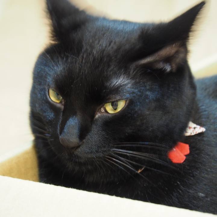 5265dcaf 6071 4211 bb44 a4df4b69f548 1531838286423