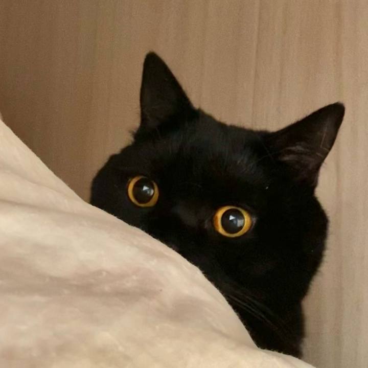 52660aa0 af71 4adf 9a56 3ebef41d7941 1644561659430