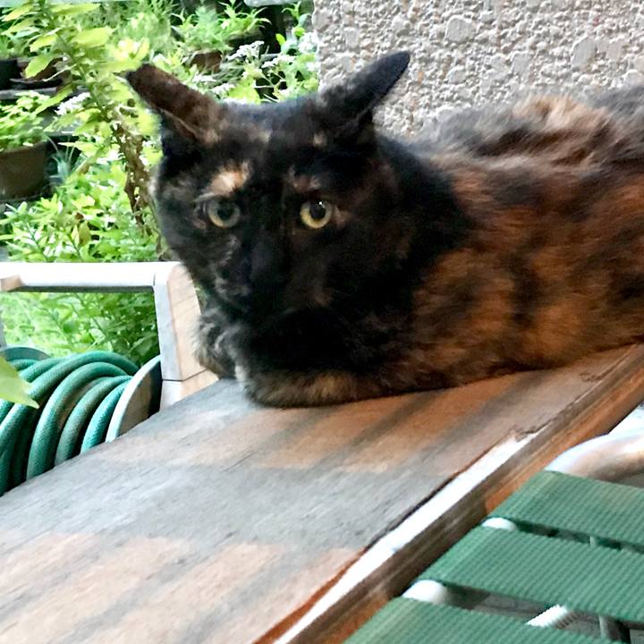 52661fda 4f99 409b bd4c b43801c7040b 1532145615260