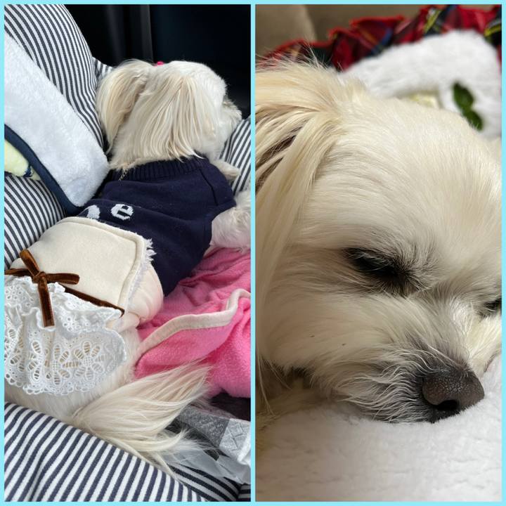 52663a79 3f40 47b0 b002 b7a74c95a4bd 1676715896622