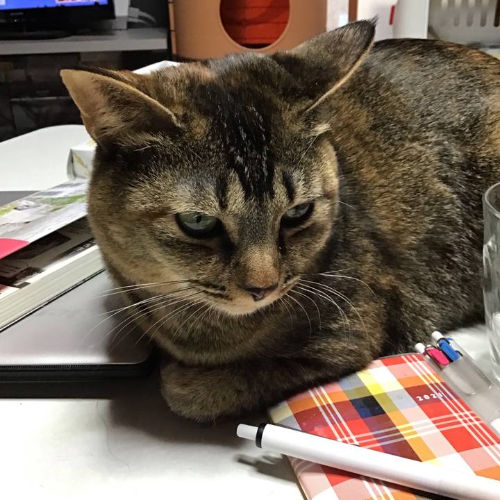 52664e83 8623 4317 9b4d 75e64b37a412 1644569834754