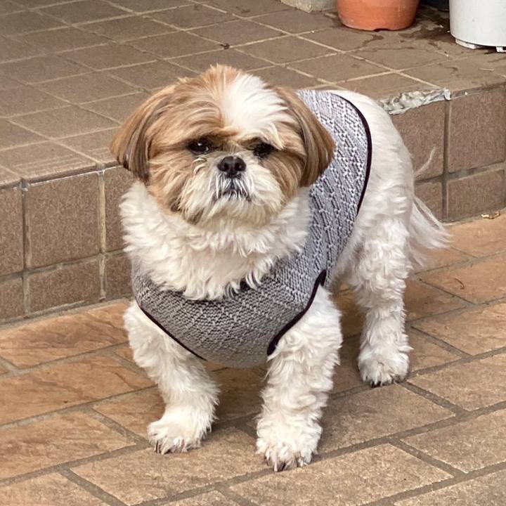 5266598a 7a4f 4f59 9b27 d8bf1ad9a7b7 1576230943174